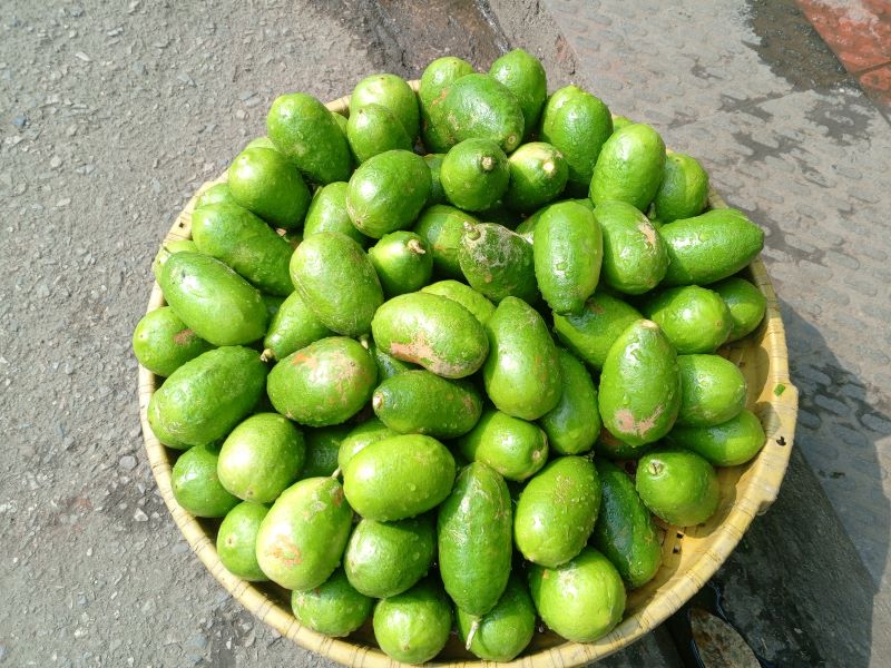 রমজান এলেই সিলেটে লেবু হয়ে যায় আপেল!